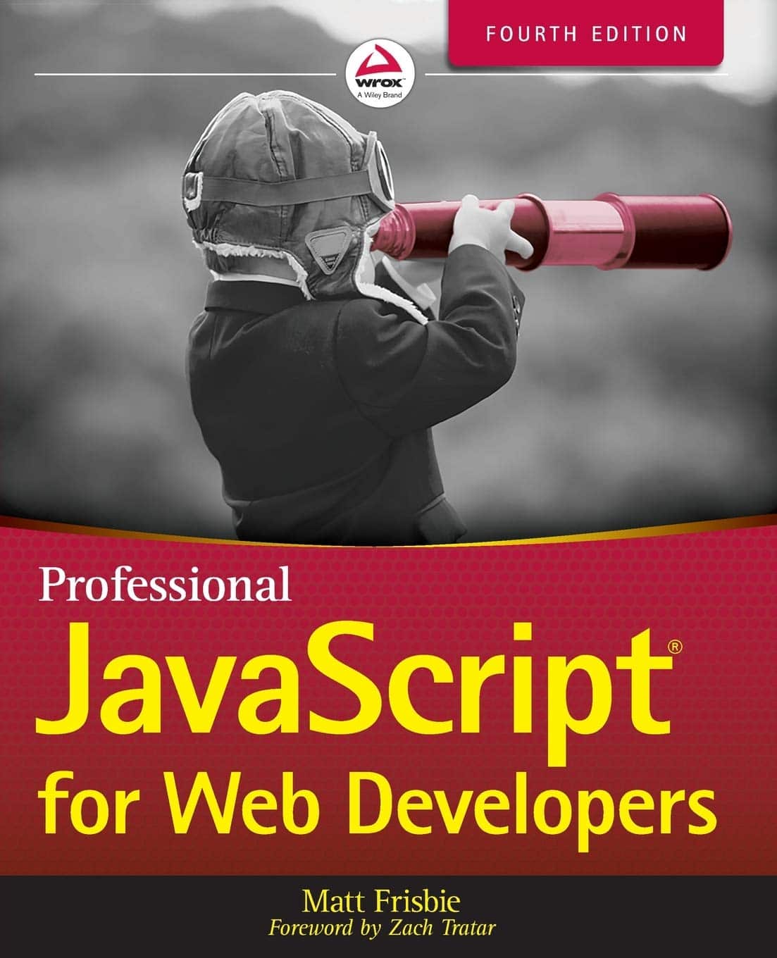 Professional JavaScript for Web Developers 4th Edition