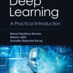 Deep Learning A Practical Introduction