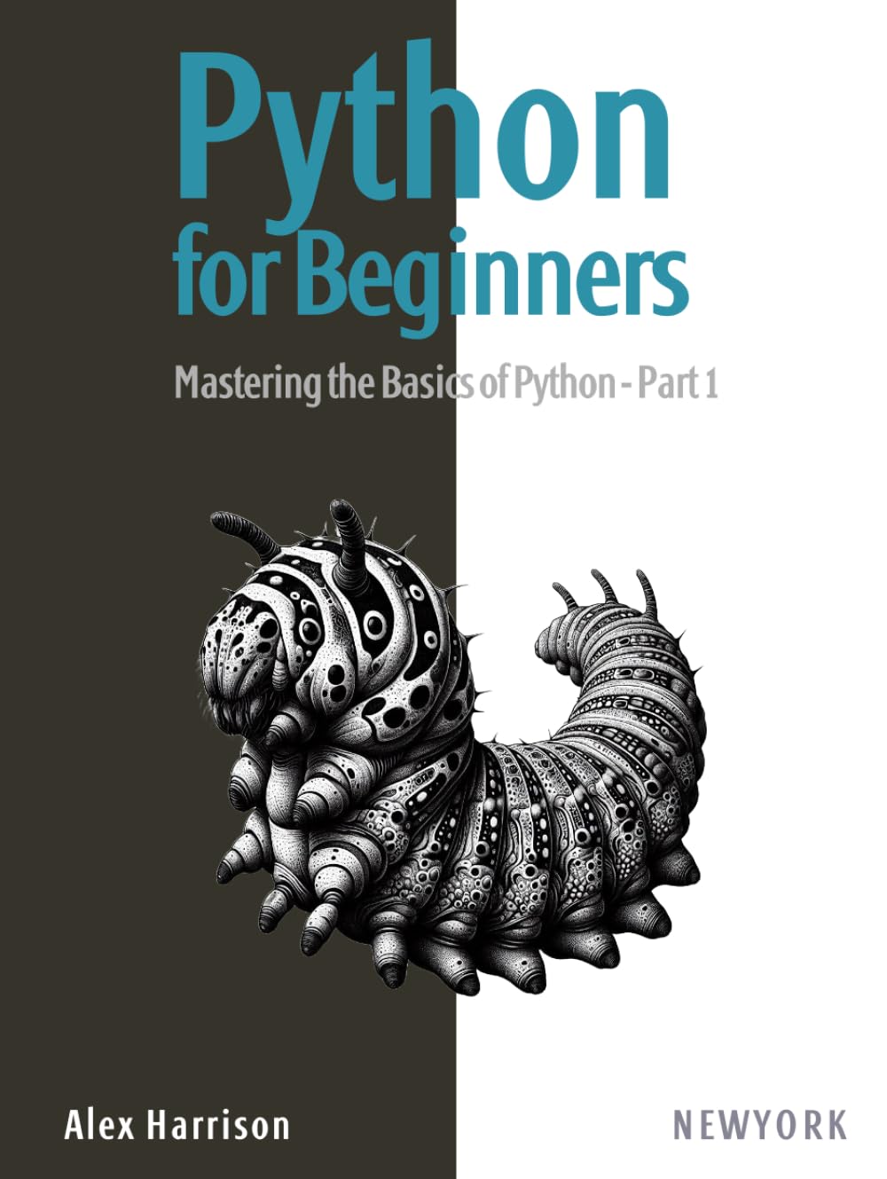 Python for Beginners Part 1