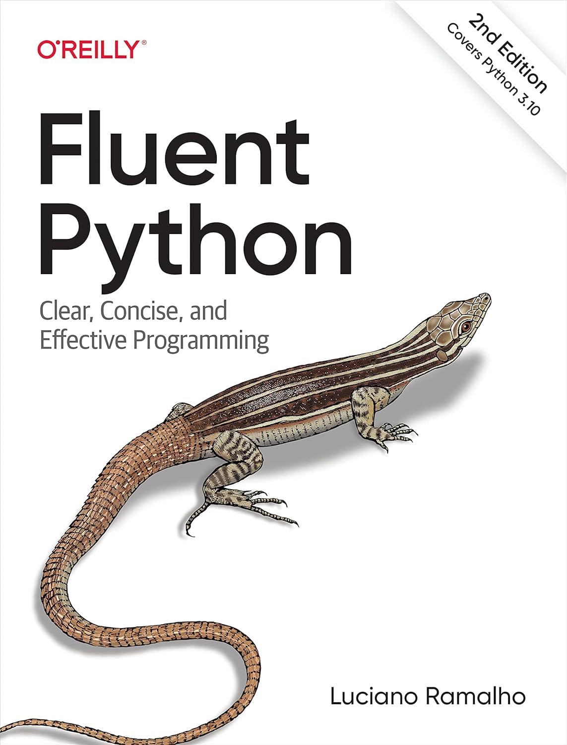 Fluent Python 2nd Edition