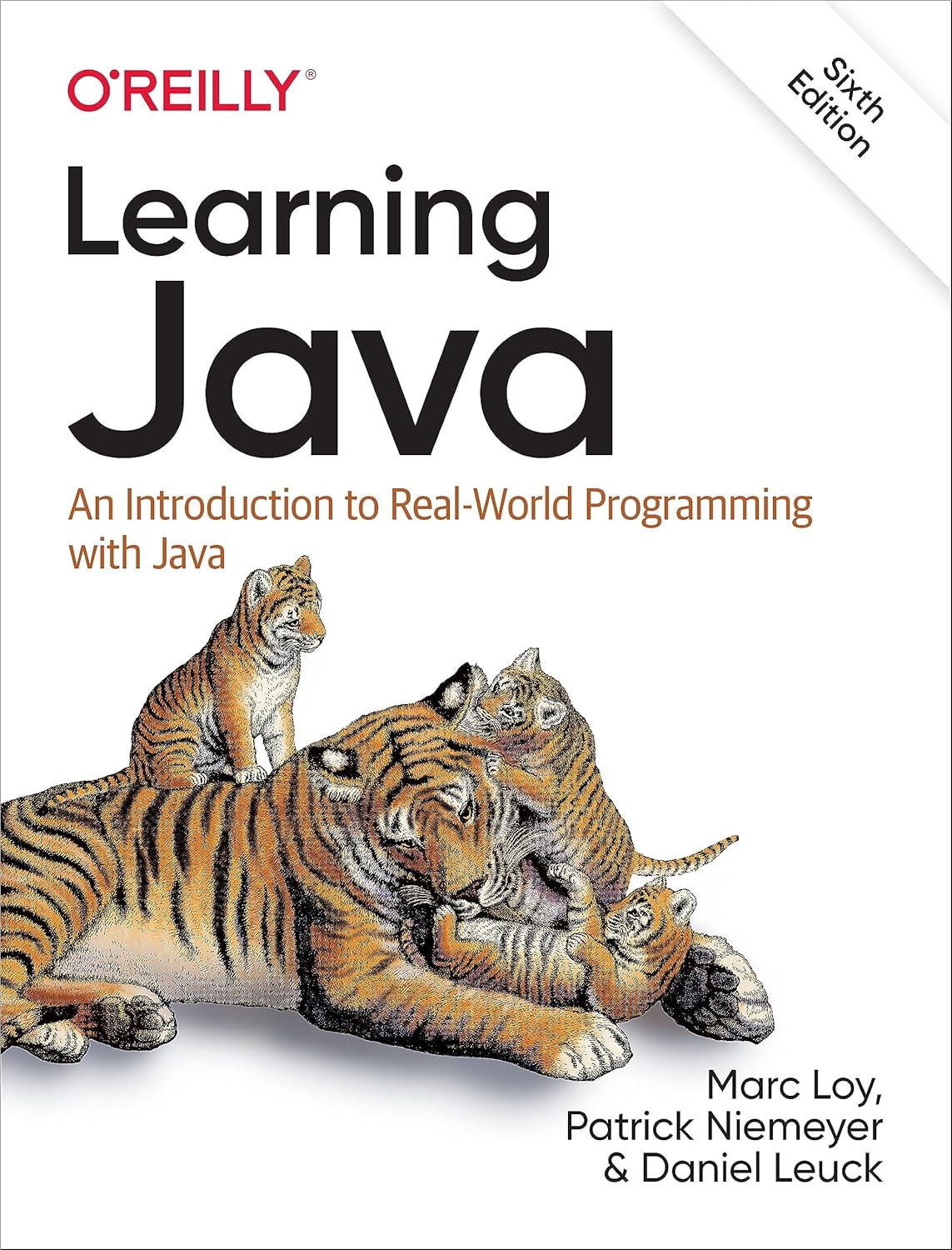 Learning Java 6th Edition