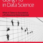 Going Pro in Data Science